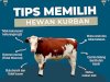 Tips Memilih Hewan Kurban Di Tengah Wabah Penyakit Mulut dan Kuku (PMK)