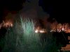 Bakar Sampah, Lahan Seluas 7.000 m2 di desa Ngawonggo - Ceper Terbakar