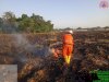 Kebakaran Lahan di desa Tarubasan, Kecamatan Karanganom seluas 3 Hektar
