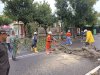 Penanganan Pohon Tumbang Menutup Akses Jalan Kopral Sayom - Karanganom, Klaten Utara
