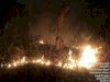 Kebakaran Lahan Desa Paseban (Bukit Jabalakat) Kecamatan Bayat