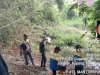 Giat Gotong Royong Pembersihan Rumpun Bambu Roboh di Desa Kupang, Kecamatan Karangdowo