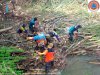 Eksekusi Rumpun Bambu Roboh ke Aliran Sungai Bloro, Desa Babadan, Kecamatan Karangdowo