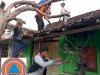 Kegiatan Pengurangan Risiko Bencana : Pemangkasan Pohon Kering di Desa Ketandan, Klaten Utara