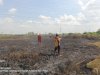 Kebakaran Lahan seluas 3Ha di Desa Kaligawe, Kecamatan Pedan