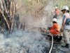 Kebakaran Rumpun Bambu dan Lahan 2.500 m² di Desa Krakitan, Kecamatan Bayat