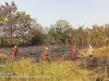 Kebakaran Lahan seluas ± 5.000 M² di Desa Sidodadi, Kecamatan Wonosari