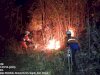 Karhutla Bukit Pindul di Desa Gununggajah, Kecamatan Bayat