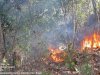 Karhutla Petak 94G Bukit Jabalkat di Desa Paseban, Kecamatan Bayat