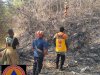Kebakaran Lahan seluas 100 m² di Desa Krakitan, Kecamatan Bayat