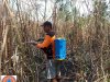 Kebakaran Lahan seluas 2 Ha di Desa Sudimoro, Kecamatan Tulung