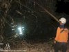 Kebakaran Rumpun Bambu seluas 53 M2 di Desa Drono, Kecamatan Ngawen