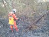 Kebakarana Lahan seluas 2.000 m² di Desa Karangpakel, Kecamatan Trucuk