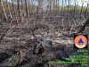 Kebakaran Lahan seluas 18.000 M2 di Desa Kalangan, kecamatan Pedan