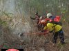 Kebakaran Hutan seluas 20.000 m² di Kawasan Hutan Negara Pangkuan Talang  Desa Talang, Kecamatan Bayat 