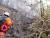 Kebakaran Hutan seluas  ± 3,1 Ha di Gunung Sari Desa Krakitan, Kecamatan Bayat