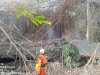 Kebakaran Rumpun Bambu luas ± 300 m² di Desa Mranggen, Kecamatan Jatinom
