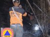 Kebakaran Rumpun Bambu dengan Luasan terbakar 280 m² di Desa Rejoso, Kecamatan Jogonalan