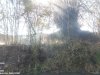 Kebakaran Rumpun Bambu luasan terbakar ± 733 m² di Bantaran Kali Ujung Desa Gadungan, Kecamatan Wedi