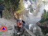 Kebakaran Rumpun Bambu Luas Terbakar 2.100 m2 di Desa Mireng, Kecamatan Trucuk