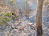 Kebakaran Hutan dengan luasan ±1.500 m² di Desa Krikilan, Kecamatan Bayat