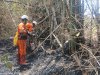 Kebakaran Rumpun Bambu seluas yang terbakar 110 m² di Desa Wunut, Kecamatan Tulung
