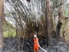 Kebakaran Lahan dan Rumpun Bambu dengan Luas 56.000 M² di Desa Krikilan, Kecamatan Bayat