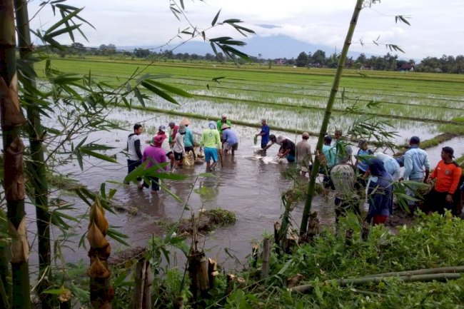 Gotongroyong penguatan tanggul sungai mlese