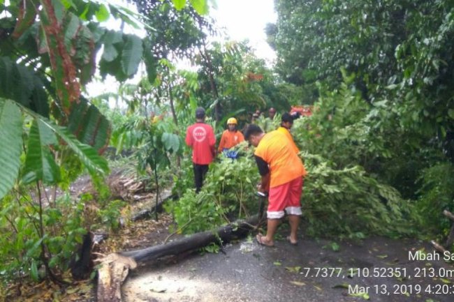 Kejadian hujan derasdan angin kencang