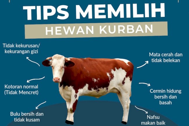 Tips Memilih Hewan Kurban Di Tengah Wabah Penyakit Mulut dan Kuku (PMK)