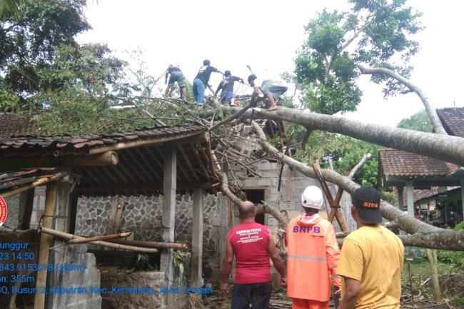 Hujan dengan Intensitas Lebat disertai angin Kencang sebabkan Pohon Tumbang Menimpa Rumah Warga di desa Keputran kecamatan Kemalang
