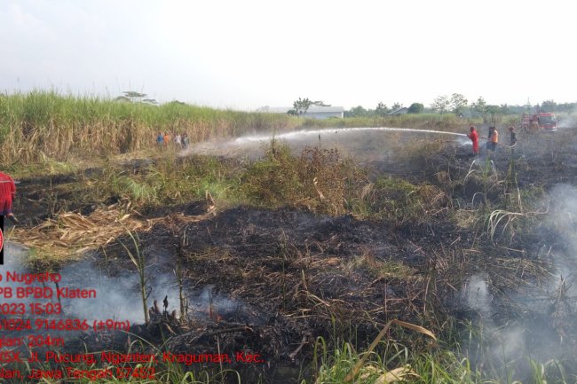 Bakar Sampah, Lahan Tebu Milik Warga di Kraguman Jogonalan Terbakar
