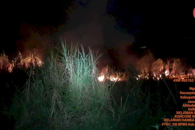 Bakar Sampah, Lahan Seluas 7.000 m2 di desa Ngawonggo - Ceper Terbakar