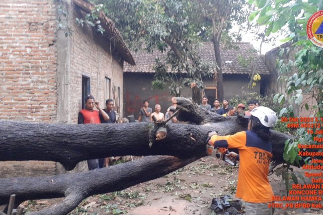 Penanganan Pohon Tumbang Dampak Hujan Deras Disertai Angin Kencang 