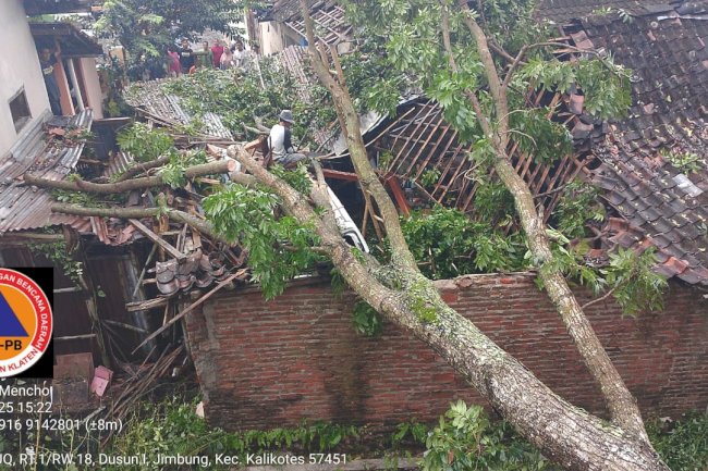 Penanganan Pohon Tumbang Menimpa Garasi di Kadibolo, Wedi