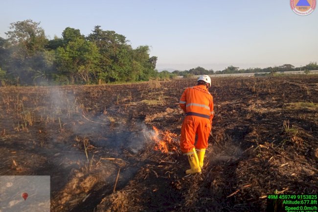 Kebakaran Lahan di desa Tarubasan, Kecamatan Karanganom seluas 3 Hektar