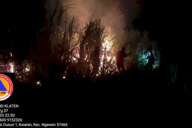 Kebakaran Lahan Tebu di desa Pepe, kecamatan Ngawen