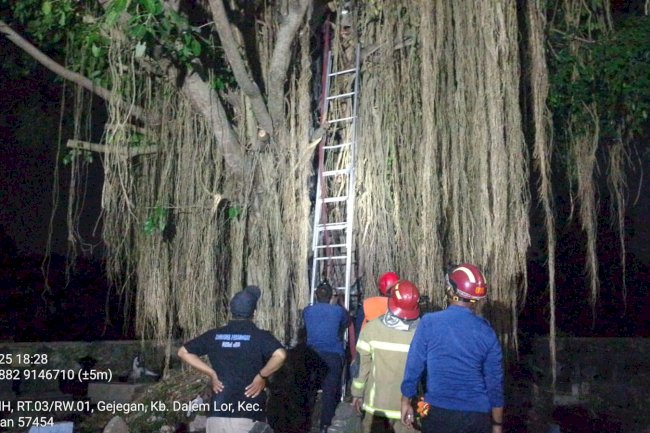 Penanganan Kebakaran Pohon Beringin Besar di Desa Kebondalem Lor, Kecamatan Prambanan