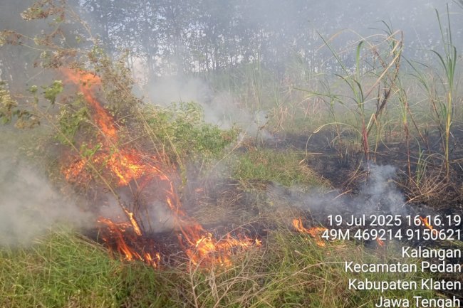 Kebakaran Lahan Tebu Seluas 6000m² di Desa Kalangan, Kecamatan Pedan