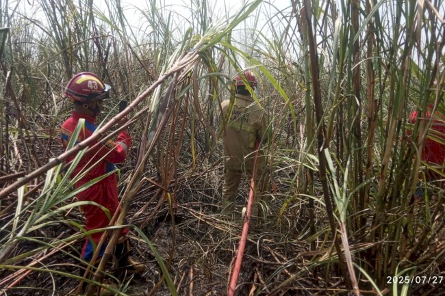 Kebakaran Lahan Seluas 0,53 Ha di Desa Kwarasan, Kecamatan Juwiring