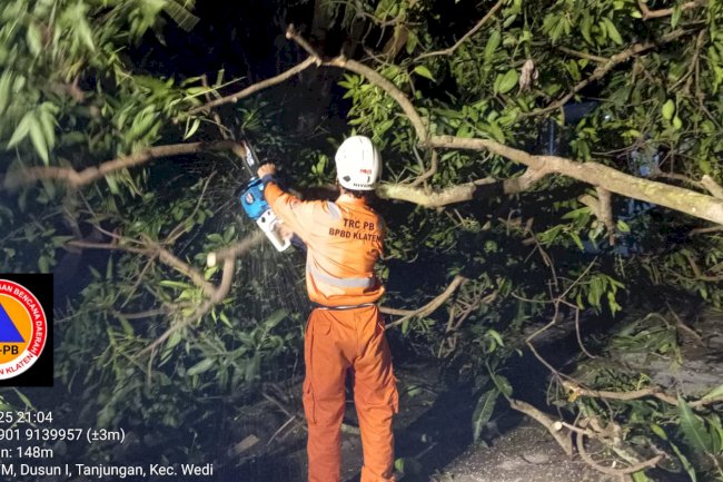 Penanganan Pohon Tumbang Menutup Akses Jalan di desa Tanjungan, kecamatan Wedi Akibat Hujan Deras Disertai Angin Kencang