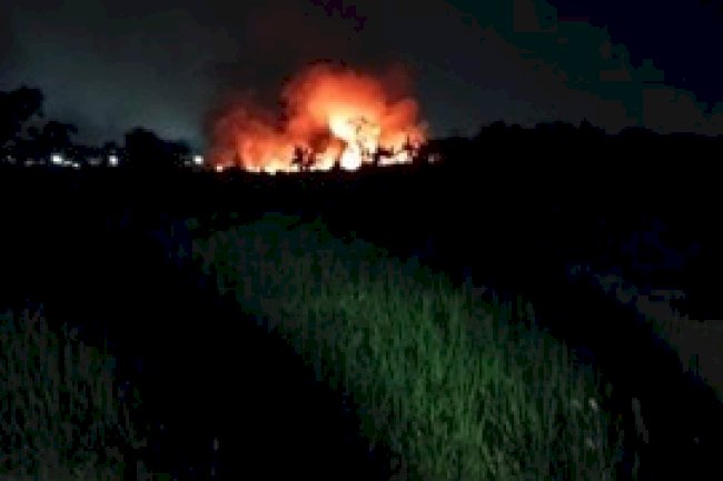 Kebakaran Lahan Desa Sabrang Kecamatan Delanggu