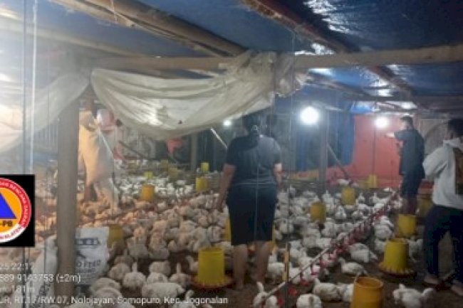 Kebakaran Kandang Ayam Desa Somopuro, Kecamatan Jogonalan