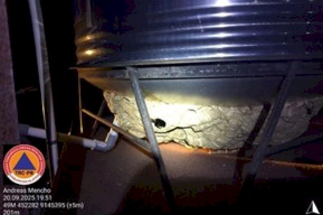 Penanganan Tawon Vespa di Desa Sumyang Kecamatan Jogonalan