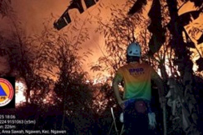 Kebakaran Lahan Tebu Di Kecamatan Ngawen