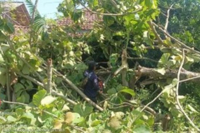 Cuaca Ekstreme Di Kecamatan Cawas dan Kecamatan Gantiwarno