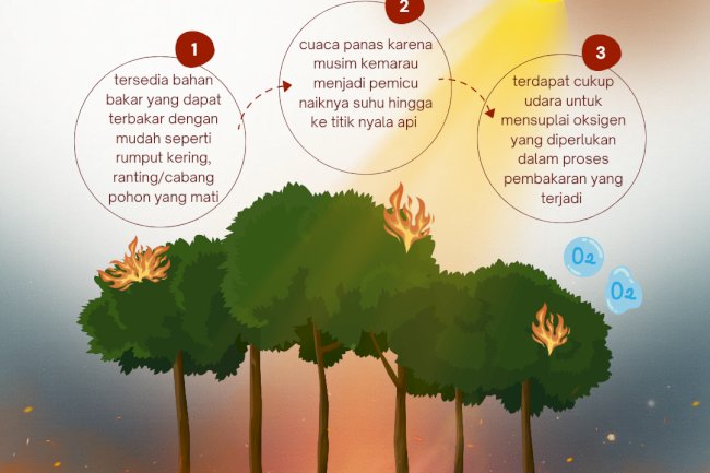 Proses Terbentuknya Api Yang Menyebabkan Karhutla. Peduli Alam. Stop Karhutla!