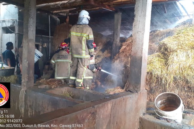 Kebakaran Kandang Sapi di Desa Bawak, Cawas Berhasil Dipadamkan 