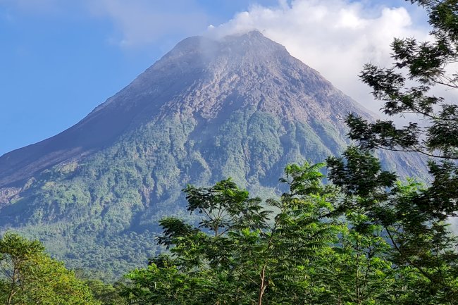 Cari Tau Apa Itu Living in Harmony with Disaster?