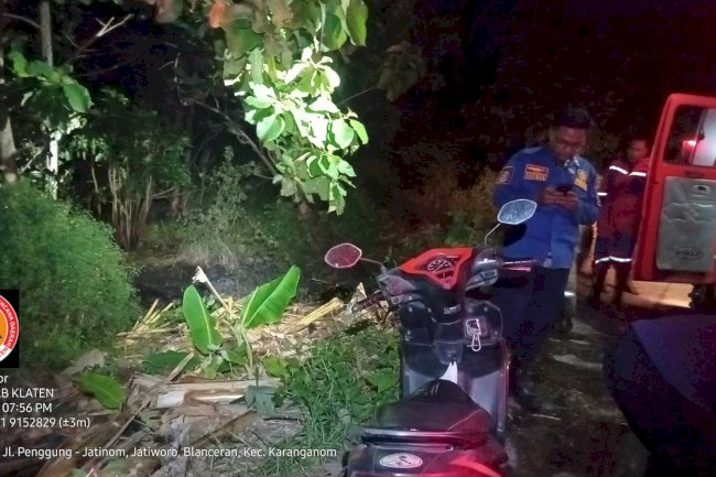 Kebakaran Lahan Di Area sawah Penggung, Kecamatan Ceper, Penyebab Belum Diketahui